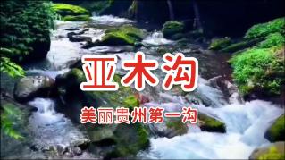 白富美爱上落魄守城小将，主动倒贴，小将后来逆袭成为皇帝！
