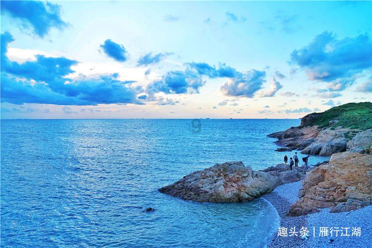 五彩鹦鹉救援
